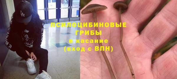мяу мяу кристалл Алексин