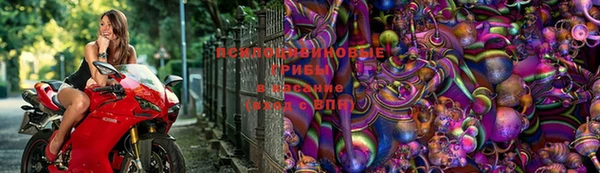 соль курить ск Арсеньев