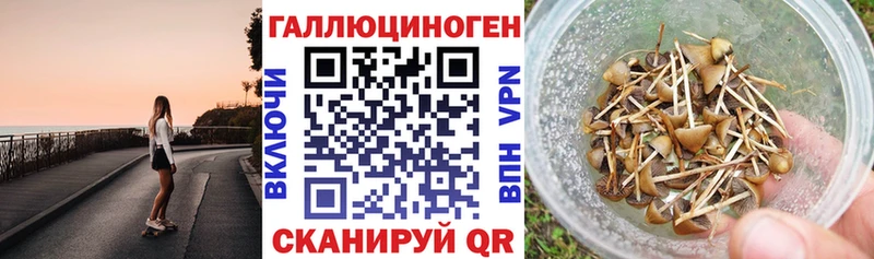 Галлюциногенные грибы мухоморы Крым